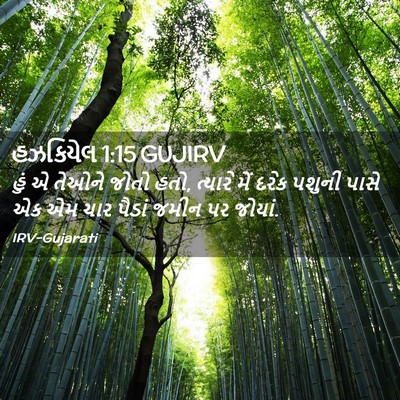 Picture 02 - હઝકિયેલ 1:15 GUJIRV - હું એ તેઓને જોતો - Bible Verse Picture