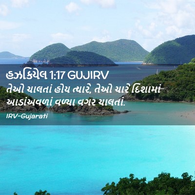 Picture 02 - હઝકિયેલ 1:17 GUJIRV - તેઓ ચાલતાં હોય - Bible Verse Picture