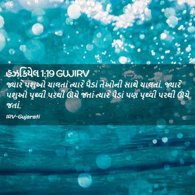 Picture 02 - હઝકિયેલ 1:19 GUJIRV - જ્યારે પશુઓ - Bible Verse Picture