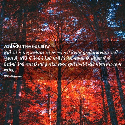 Picture 02 - હઝકિયેલ 11:16 GUJIRV - તેથી કહે કે, પ્રભુ - Bible Verse Picture