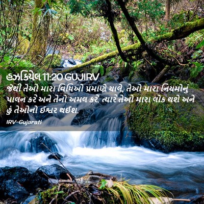 Picture 02 - હઝકિયેલ 11:20 GUJIRV - જેથી તેઓ મારા - Bible Verse Picture