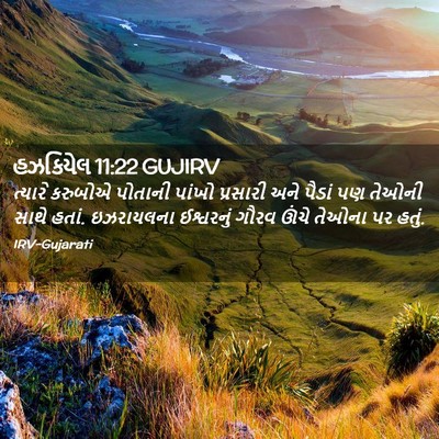 Picture 02 - હઝકિયેલ 11:22 GUJIRV - ત્યારે કરુબોએ - Bible Verse Picture