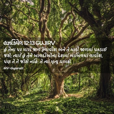 Picture 02 - હઝકિયેલ 12:13 GUJIRV - હું તેના પર મારી - Bible Verse Picture