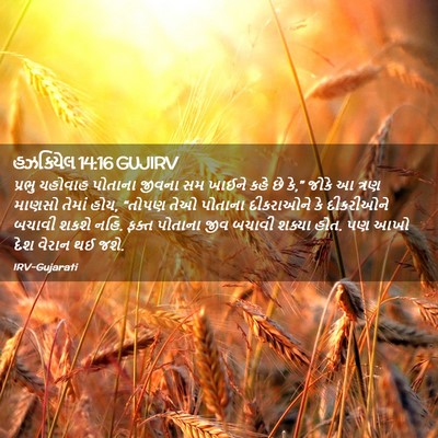 Picture 02 - હઝકિયેલ 14:16 GUJIRV - પ્રભુ યહોવાહ - Bible Verse Picture