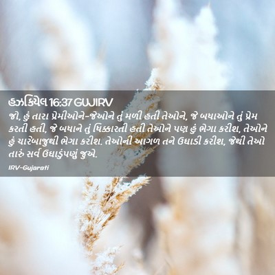Picture 02 - હઝકિયેલ 16:37 GUJIRV - જો, હું તારા - Bible Verse Picture