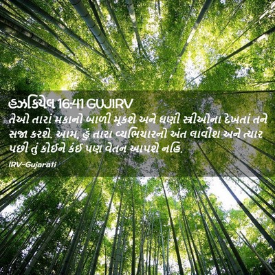Picture 02 - હઝકિયેલ 16:41 GUJIRV - તેઓ તારાં મકાનો - Bible Verse Picture