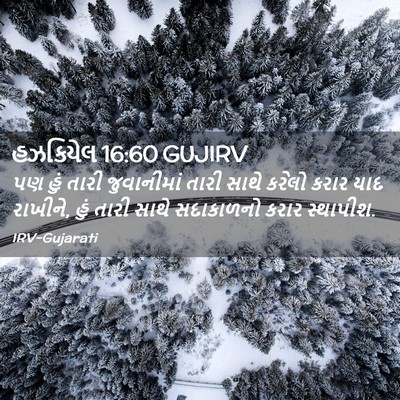 Picture 02 - હઝકિયેલ 16:60 GUJIRV - પણ હું તારી - Bible Verse Picture