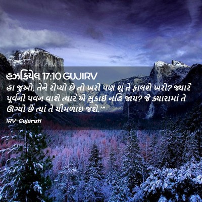 Picture 02 - હઝકિયેલ 17:10 GUJIRV - હા જુઓ, તેને રોપ્યો - Bible Verse Picture