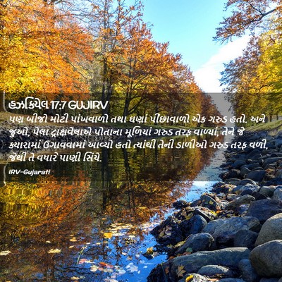 Picture 02 - હઝકિયેલ 17:7 GUJIRV - પણ બીજો મોટી - Bible Verse Picture