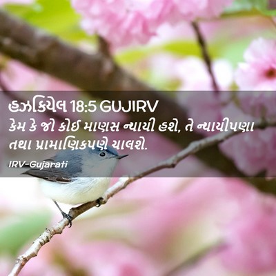 Picture 02 - હઝકિયેલ 18:5 GUJIRV - કેમ કે જો કોઈ માણસ - Bible Verse Picture