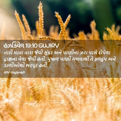 Picture 02 - હઝકિયેલ 19:10 GUJIRV - તારી માતા તારા - Bible Verse Picture