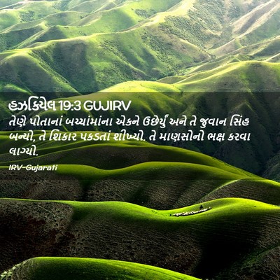 Picture 02 - હઝકિયેલ 19:3 GUJIRV - તેણે પોતાનાં - Bible Verse Picture