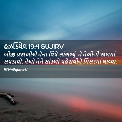 Picture 02 - હઝકિયેલ 19:4 GUJIRV - બીજી પ્રજાઓએ તેના - Bible Verse Picture