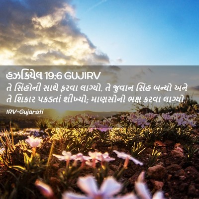 Picture 02 - હઝકિયેલ 19:6 GUJIRV - તે સિંહોની સાથે - Bible Verse Picture