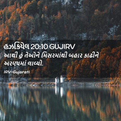 Picture 02 - હઝકિયેલ 20:10 GUJIRV - આથી હું તેઓને - Bible Verse Picture