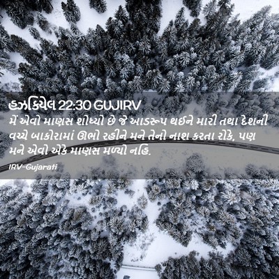 Picture 02 - હઝકિયેલ 22:30 GUJIRV - મેં એવો માણસ - Bible Verse Picture
