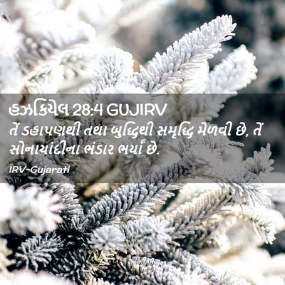 Picture 02 - હઝકિયેલ 28:4 GUJIRV - તેં ડહાપણથી તથા - Bible Verse Picture