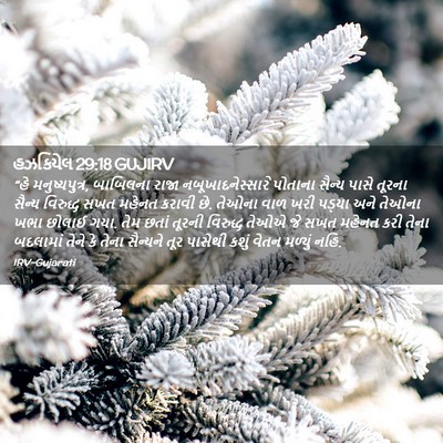 Picture 02 - હઝકિયેલ 29:18 GUJIRV - “હે મનુષ્યપુત્ર, - Bible Verse Picture
