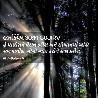 Picture 02 - હઝકિયેલ 30:14 GUJIRV - હું પાથ્રોસને - Bible Verse Picture