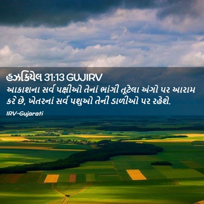 Picture 02 - હઝકિયેલ 31:13 GUJIRV - આકાશના સર્વ - Bible Verse Picture