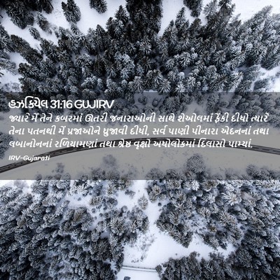 Picture 02 - હઝકિયેલ 31:16 GUJIRV - જ્યારે મેં તેને - Bible Verse Picture