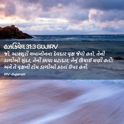 Picture 02 - હઝકિયેલ 31:3 GUJIRV - જો, આશ્શૂરી - Bible Verse Picture