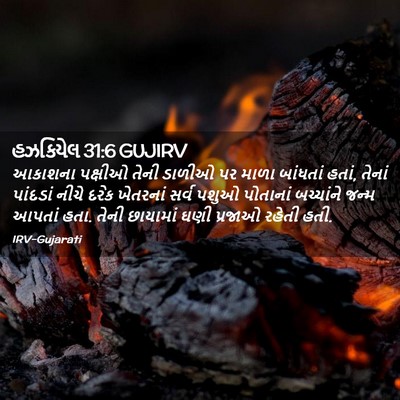 Picture 02 - હઝકિયેલ 31:6 GUJIRV - આકાશના પક્ષીઓ - Bible Verse Picture