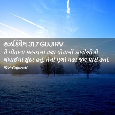 Picture 02 - હઝકિયેલ 31:7 GUJIRV - તે પોતાના - Bible Verse Picture