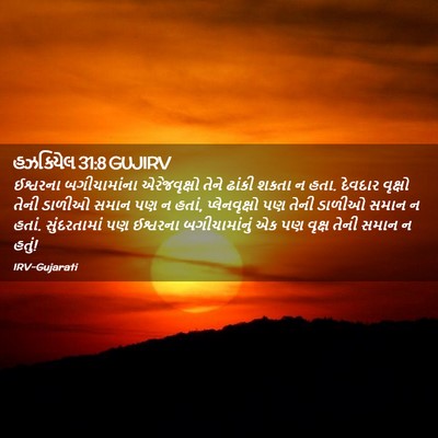 Picture 02 - હઝકિયેલ 31:8 GUJIRV - ઈશ્વરના - Bible Verse Picture