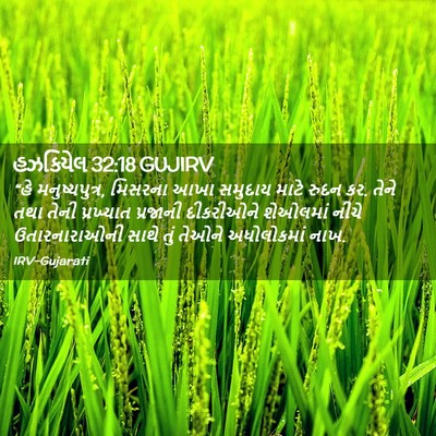 Picture 02 - હઝકિયેલ 32:18 GUJIRV - “હે મનુષ્યપુત્ર, - Bible Verse Picture
