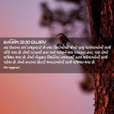 Picture 02 - હઝકિયેલ 32:30 GUJIRV - ત્યાં ઉત્તરના - Bible Verse Picture