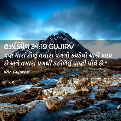 Picture 02 - હઝકિયેલ 34:19 GUJIRV - પણ મારાં ટોળું - Bible Verse Picture