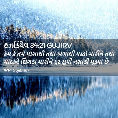 Picture 02 - હઝકિયેલ 34:21 GUJIRV - કેમ કે તમે પાસાથી - Bible Verse Picture