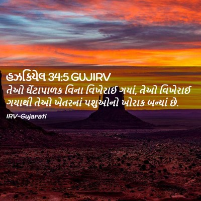 Picture 02 - હઝકિયેલ 34:5 GUJIRV - તેઓ ઘેંટાપાળક - Bible Verse Picture
