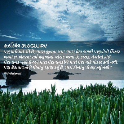 Picture 02 - હઝકિયેલ 34:8 GUJIRV - પ્રભુ યહોવાહ કહે - Bible Verse Picture