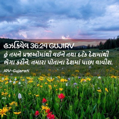 Picture 02 - હઝકિયેલ 36:24 GUJIRV - હું તમને - Bible Verse Picture