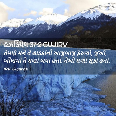 Picture 02 - હઝકિયેલ 37:2 GUJIRV - તેમણે મને તે - Bible Verse Picture
