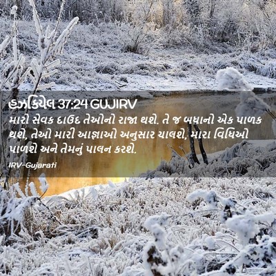 Picture 02 - હઝકિયેલ 37:24 GUJIRV - મારો સેવક દાઉદ - Bible Verse Picture