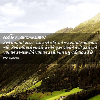 Picture 02 - હઝકિયેલ 39:10 GUJIRV - તેઓ વનમાંથી - Bible Verse Picture