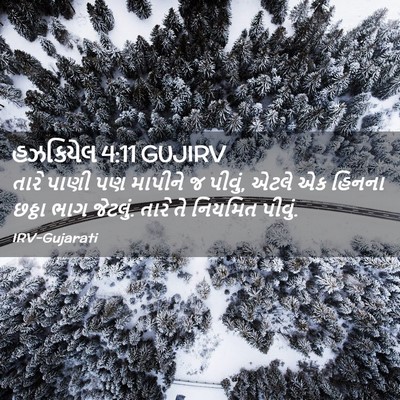 Picture 02 - હઝકિયેલ 4:11 GUJIRV - તારે પાણી પણ - Bible Verse Picture