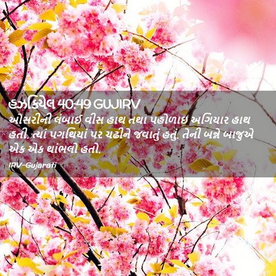 Picture 02 - હઝકિયેલ 40:49 GUJIRV - ઓસરીની લંબાઈ વીસ - Bible Verse Picture