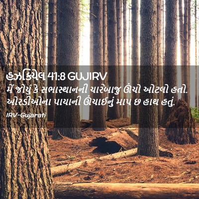 Picture 02 - હઝકિયેલ 41:8 GUJIRV - મેં જોયું કે - Bible Verse Picture