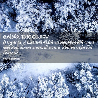 Picture 02 - હઝકિયેલ 43:10 GUJIRV - હે મનુષ્યપુત્ર, - Bible Verse Picture