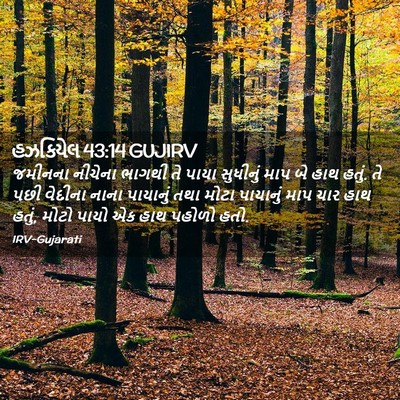 Picture 02 - હઝકિયેલ 43:14 GUJIRV - જમીનના નીચેના - Bible Verse Picture