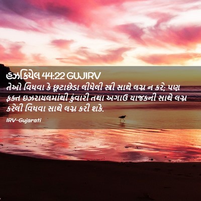 Picture 02 - હઝકિયેલ 44:22 GUJIRV - તેઓ વિધવા કે - Bible Verse Picture