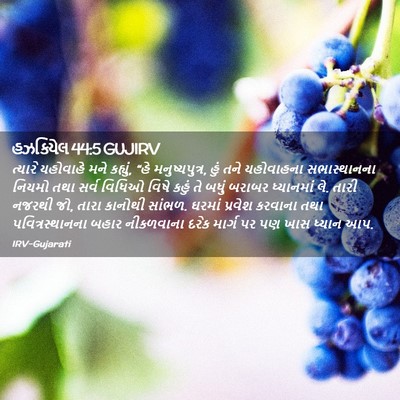 Picture 02 - હઝકિયેલ 44:5 GUJIRV - ત્યારે યહોવાહે - Bible Verse Picture