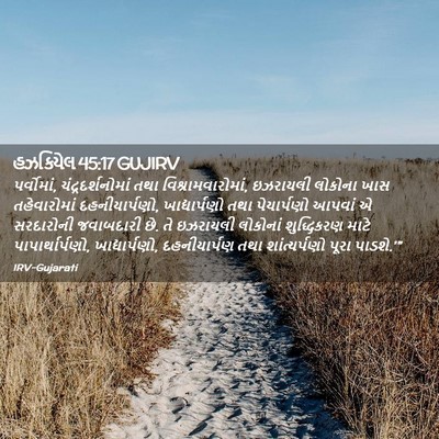 Picture 02 - હઝકિયેલ 45:17 GUJIRV - પર્વોમાં, - Bible Verse Picture
