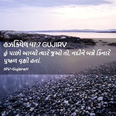 Picture 02 - હઝકિયેલ 47:7 GUJIRV - હું પાછો આવ્યો - Bible Verse Picture