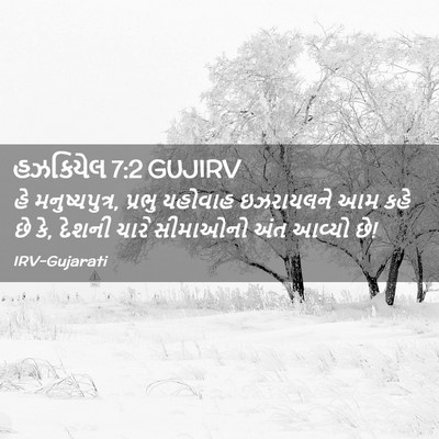 Picture 02 - હઝકિયેલ 7:2 GUJIRV - હે મનુષ્યપુત્ર, - Bible Verse Picture