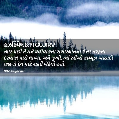 Picture 02 - હઝકિયેલ 8:14 GUJIRV - ત્યાર પછી તે મને - Bible Verse Picture